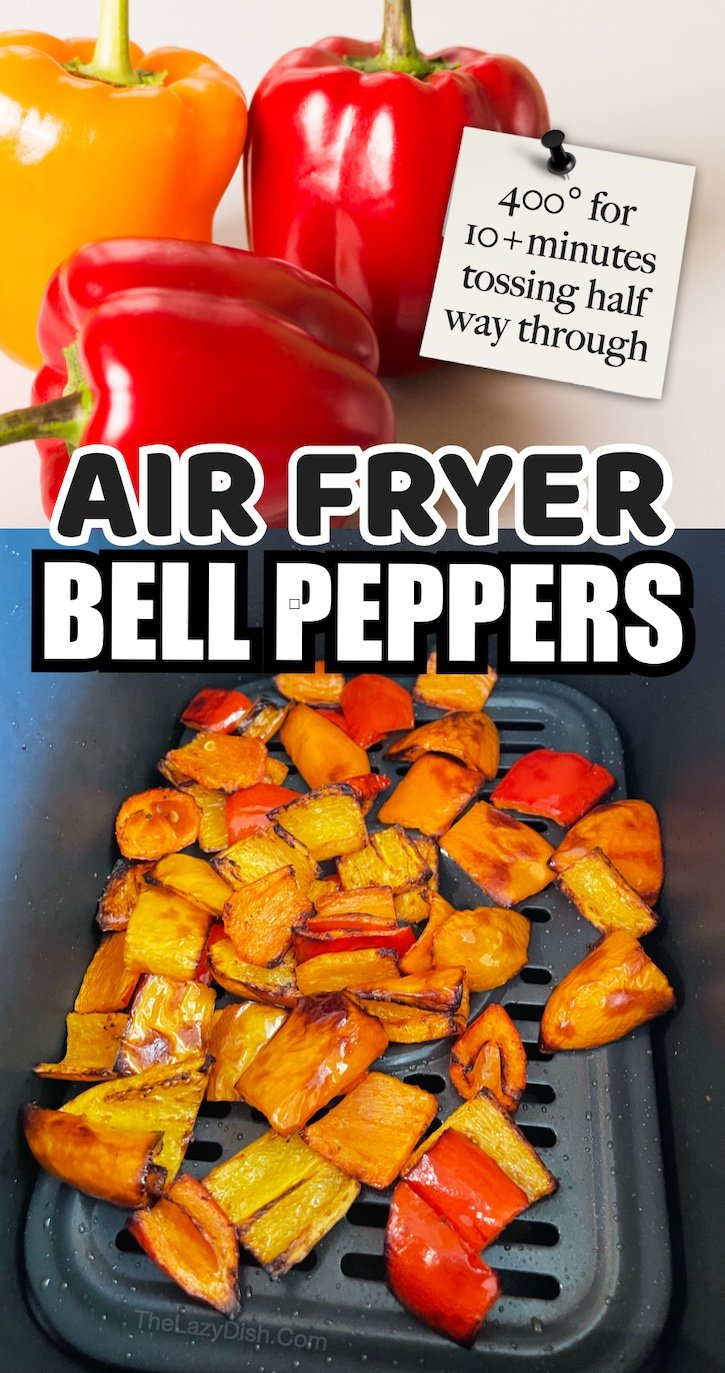 22 Easy AirFryer Recipes