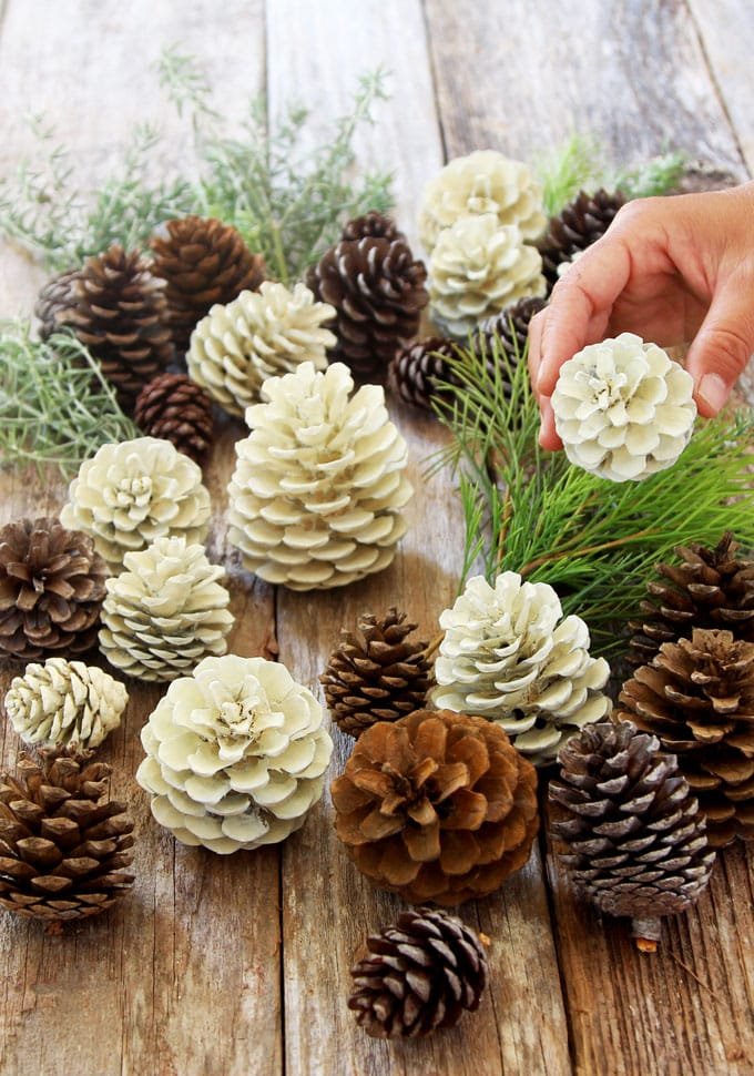 Painted Pine Cones