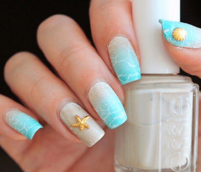 Fresh sea star