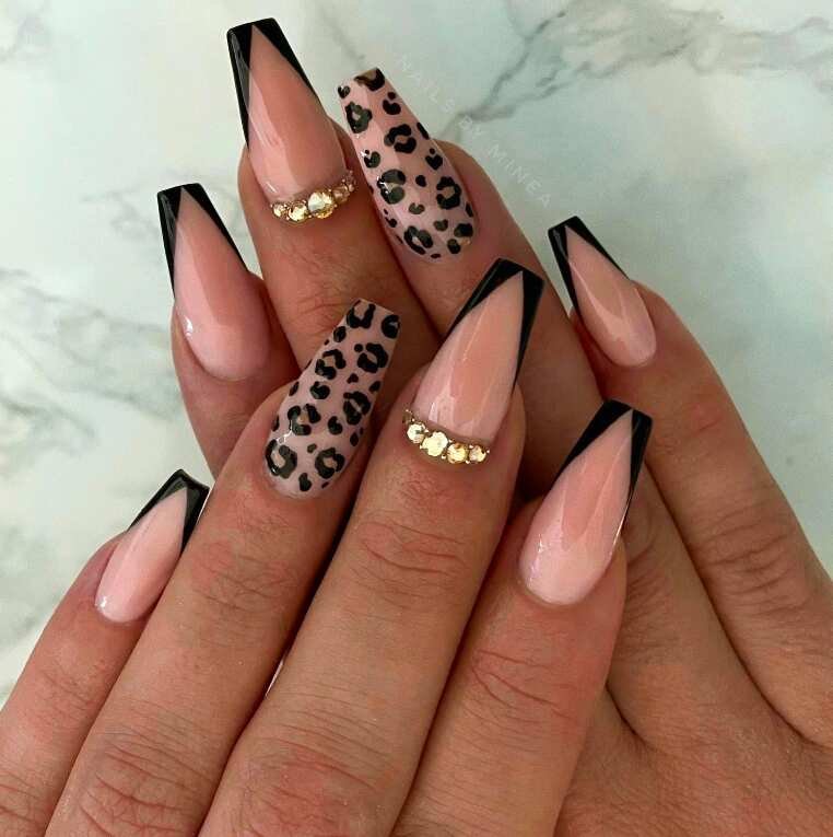 Wild & Stylish: Stunning Animal Print Nail Ideas to Unleash Your Inner Fierce